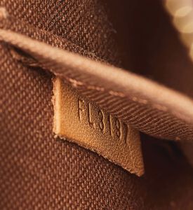 Louis Vuitton Preowned Louis Vuitton Alma Monogram Canvas Bag, Packshot View