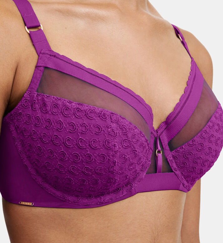 Embroidered Cups Bra