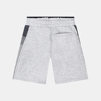 Brushed Cotton Fleece Logo Shorts