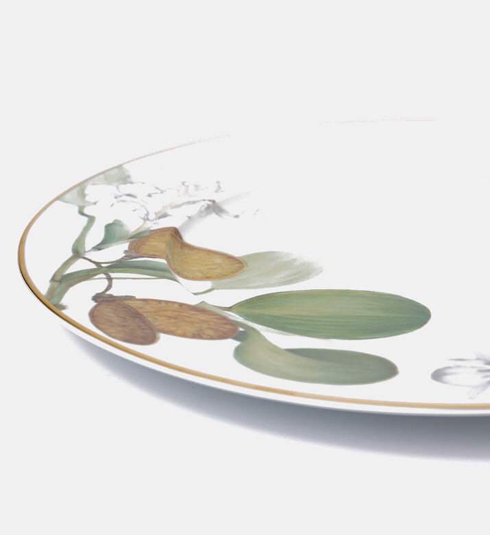 صحن عشاء أمازونيا صحن عشاء أمازونيا