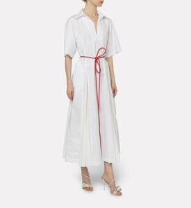 Plan C Dress Pleated, Model View