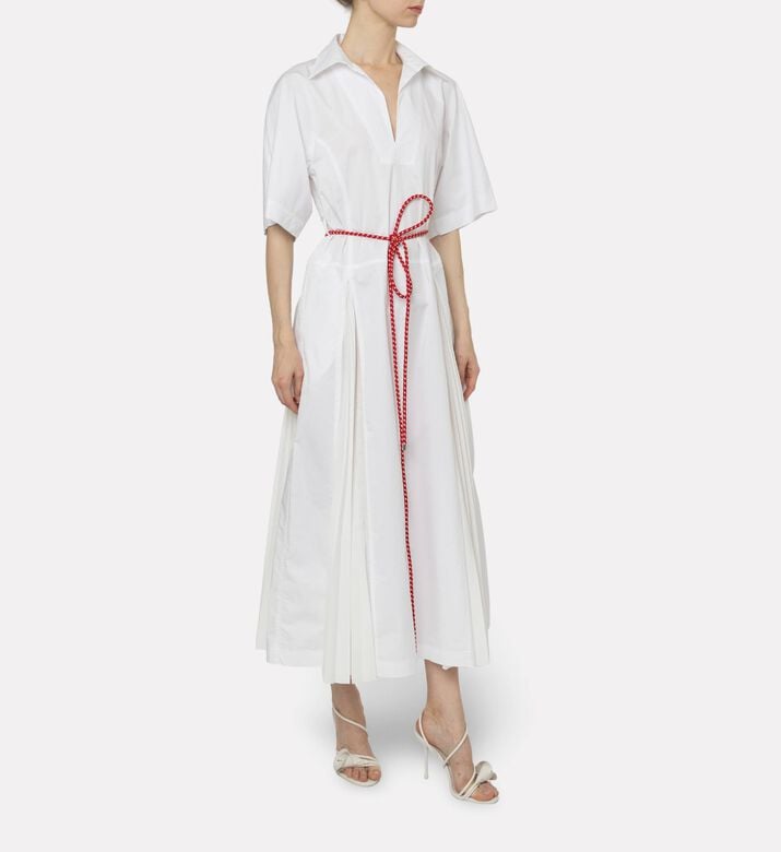 Plan C Dress Pleated, Model View