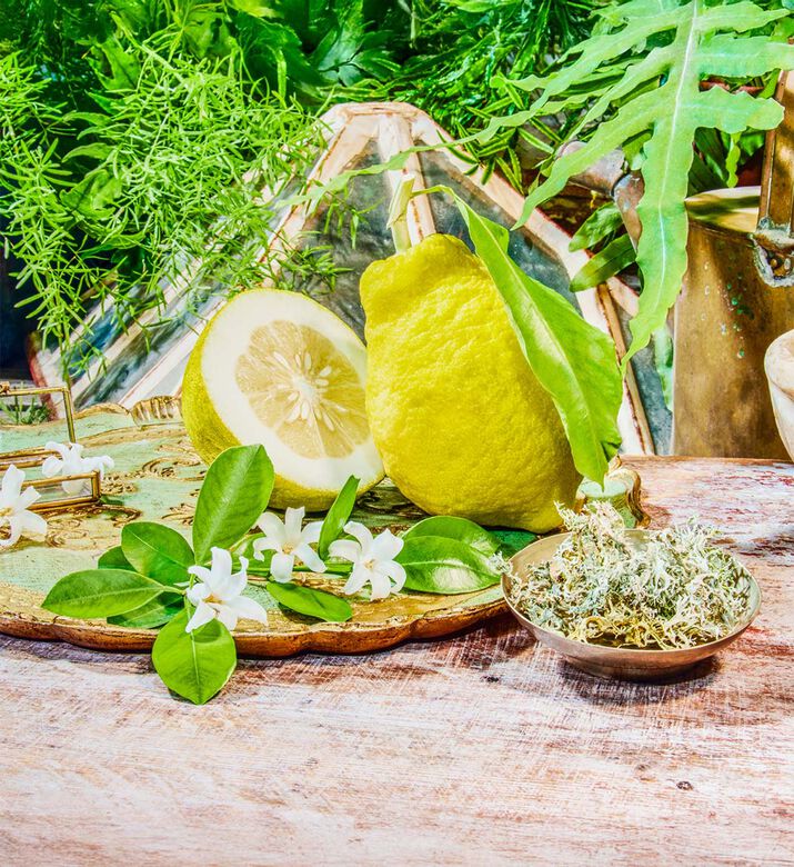 ماء عطر ذا أكميستس غاردن 1921