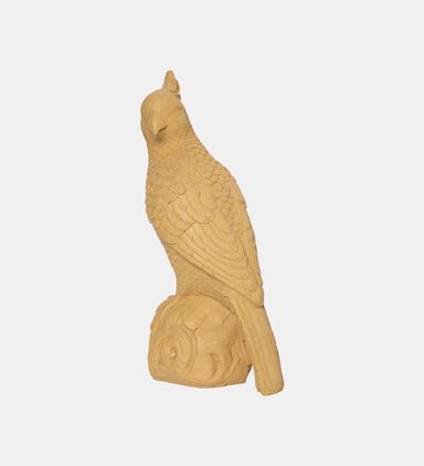 Parrot Decorative Ornament 14x13x30 Cm