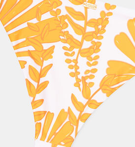 تريجو بيكيني سفلي عالي الخصر