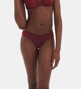 Scenario Embroidered Lace Tangas