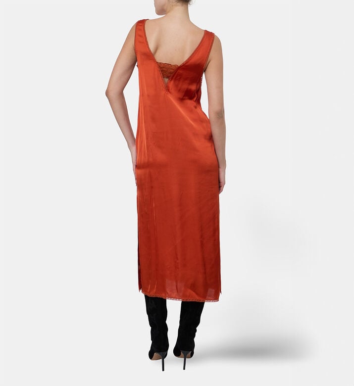 Zadig et Voltaire Dress Renzo, Model View