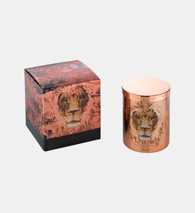 Africa Lion Natural Wax Candle Jar Africa Lion Natural Wax Candle Jar