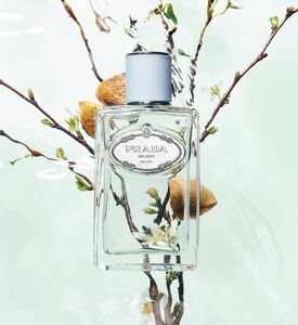 Almond Infusion Eau De Parfum