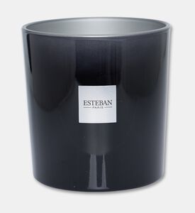 Esteban Paris Cndl Vanille D Or, Packshot View
