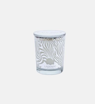 Africa Zebra Candle Jar
