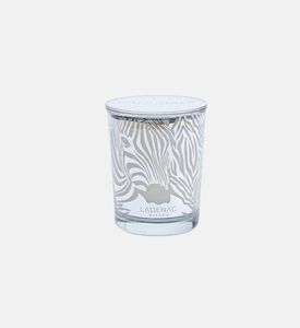 Africa Zebra Candle Jar Africa Zebra Candle Jar