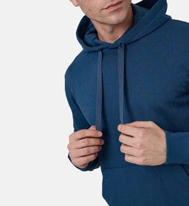 هودي جاكار تيري