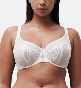 Chantelle Embroidered Lace Bra, Ivory, 95, D, Model View
