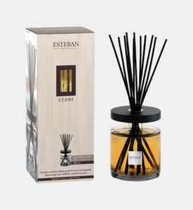 Cedre Ellipse Refillable Bouquet