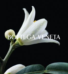 Bottega Venetta Edp Colpo Di Sole, Packshot View
