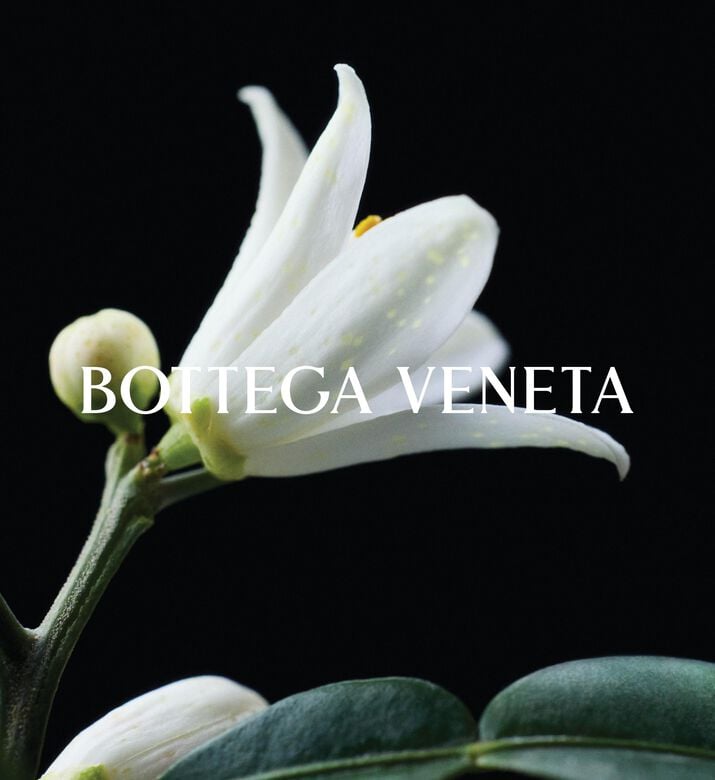 Bottega Venetta Edp Colpo Di Sole, Packshot View