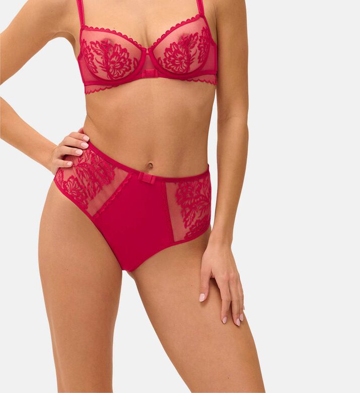 Floral Embroidered Retro-style High-waist Briefs