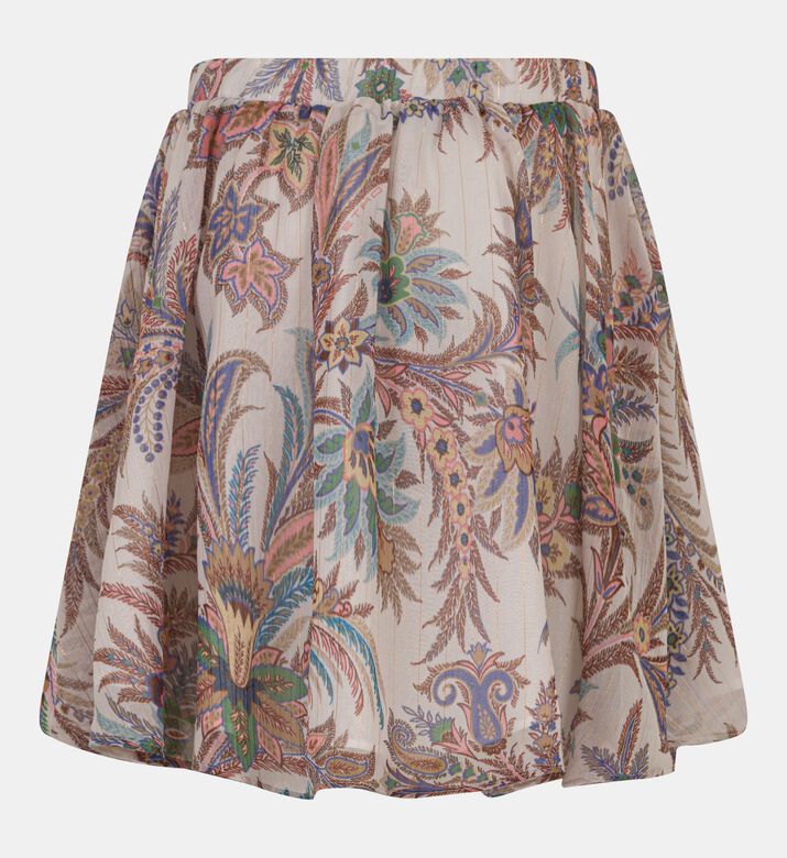 Etro Skirt Woven, Packshot View