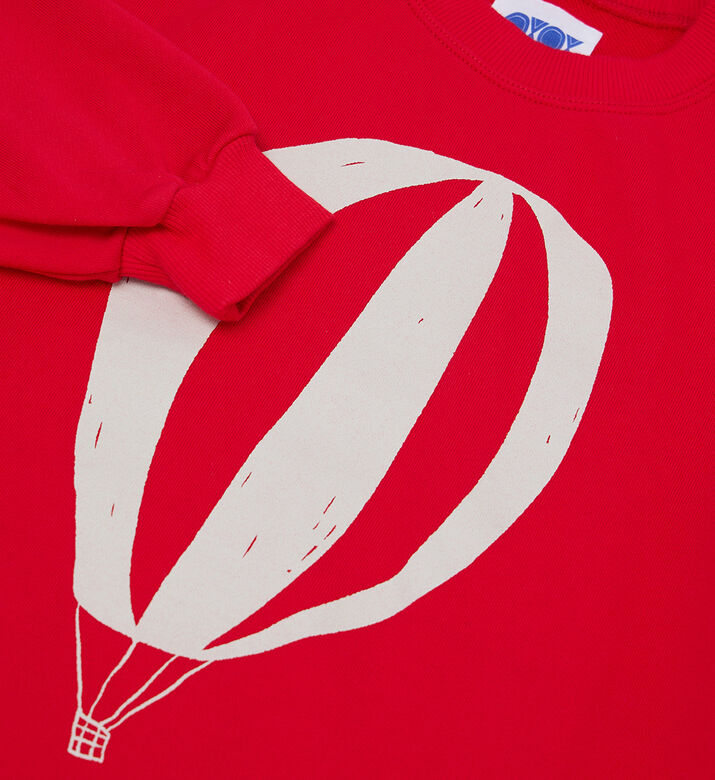 سويت شيرت بطبعة بالون هواء ساخن