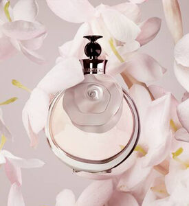 عطر La Nuit de LHomme