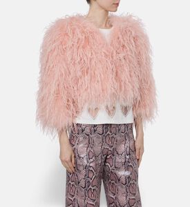 Alice and Olivia Jack Kidman, Model View