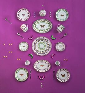 Amazzonia Libellule Soup Plate Amazzonia Libellule Soup Plate