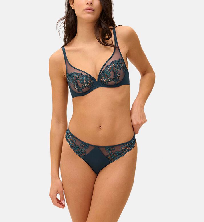 Sheer Mesh Underwired Embroidered Bra