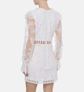 فستان دانتيل شفاف بأكمام طويلة وأساور مكشكشة