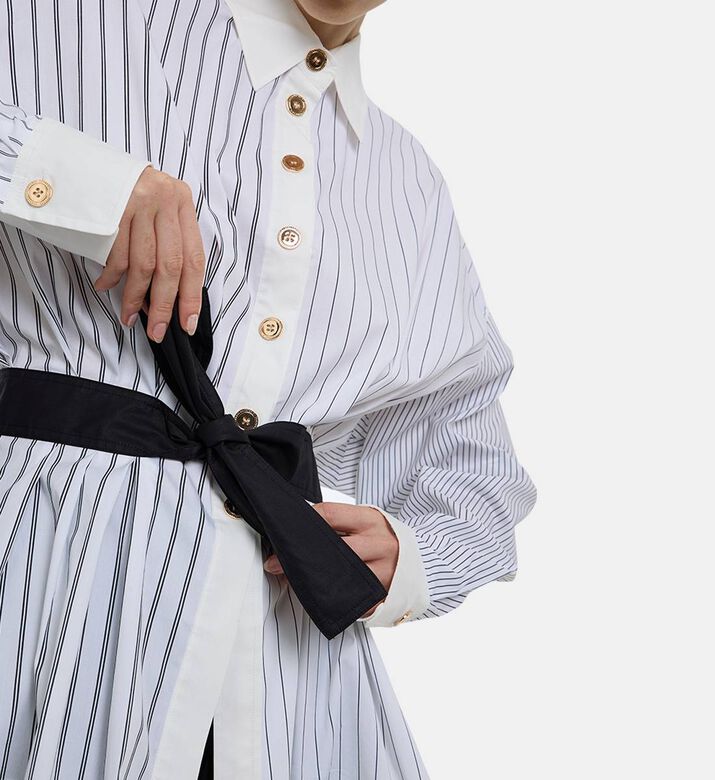 Edward Achour Paris Striped Button-front Blouse, Model View Edward Achour Paris Striped Button-front Blouse, Model View