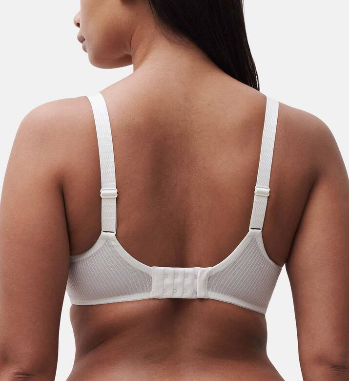 Chantelle Embroidered Lace Bra, Ivory, 85, F, Model View