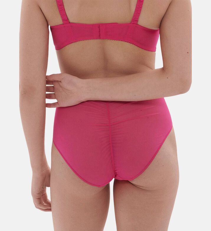 Intrigue Embroidered Retro Brief