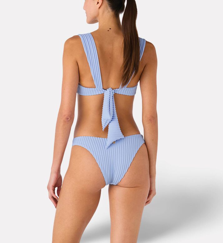 Palmacea Swst Inti Bottom, Model View