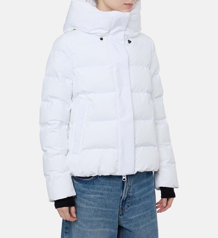 Save the Duck Padded Regular-fit Long-sleeve Jacket, Model View