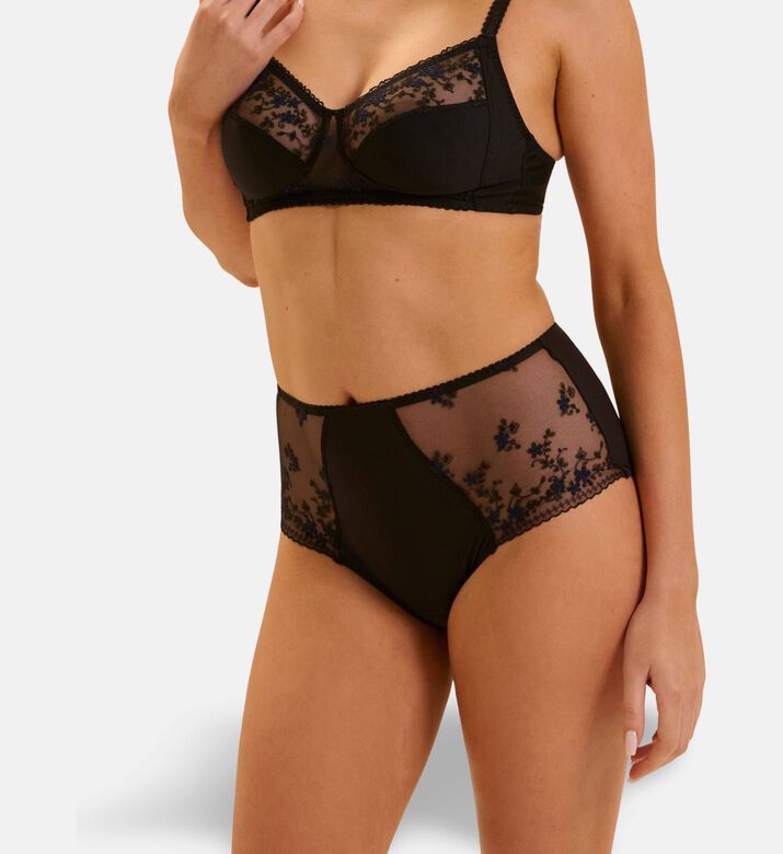Simone Perele Brief Retro, Model View