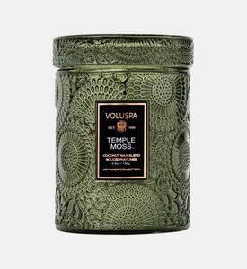 Japonica Temple Moss Luxe Jar Japonica Temple Moss Luxe Jar
