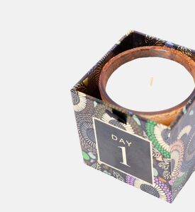 Japonica Advent Calendar