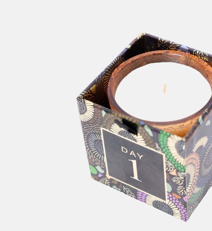 تقويم جابونيكا المجيء تقويم جابونيكا المجيء