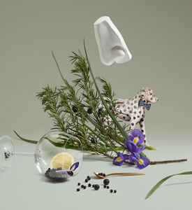 Penhaligon's Juniper Sling Eau De Toilette 100 Ml, Packshot View