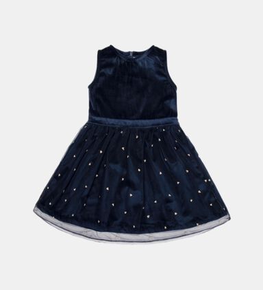 Cherie Velvet Gold Tulle Dress
