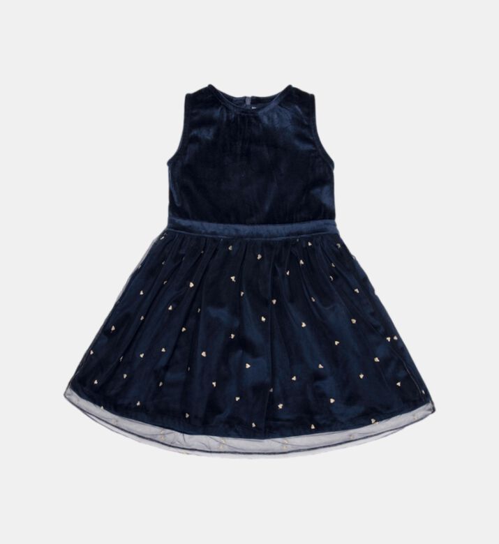 Cherie Velvet Gold Tulle Dress