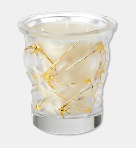 Lalique Cndle Vase 750g Oceans, Packshot View