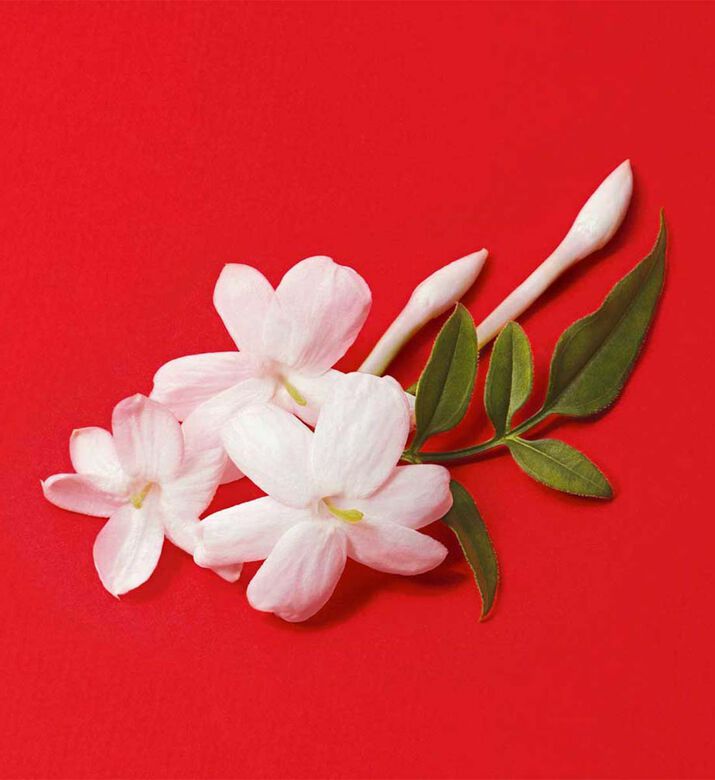 عبوة إعادة تعبئة ماء عطر سي باسيوني