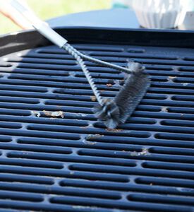 فرشاة أوليفيا الحلزونية المصنوعة من الفولاذ المقاو