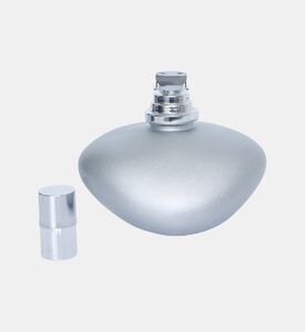 Teardrop Shape Lamp Teardrop Shape Lamp