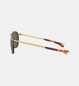 Tortoiseshell Pattern Sunglasses Tortoiseshell Pattern Sunglasses