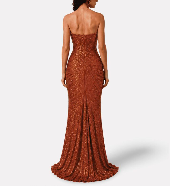 Zeena Zaki Long Dress, Model View