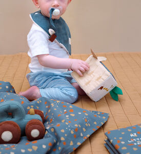 Organic 3-pack Bandana Bib - Blue Spruce