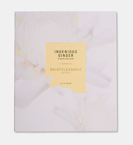 Goldfield&Banks Set Ingenious Ginger Deluxe 26, Packshot View