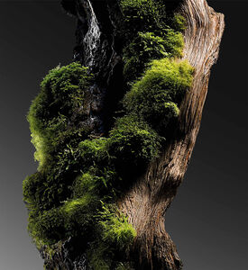 Kilian Paris Edp Her Majesty Ref, Packshot View